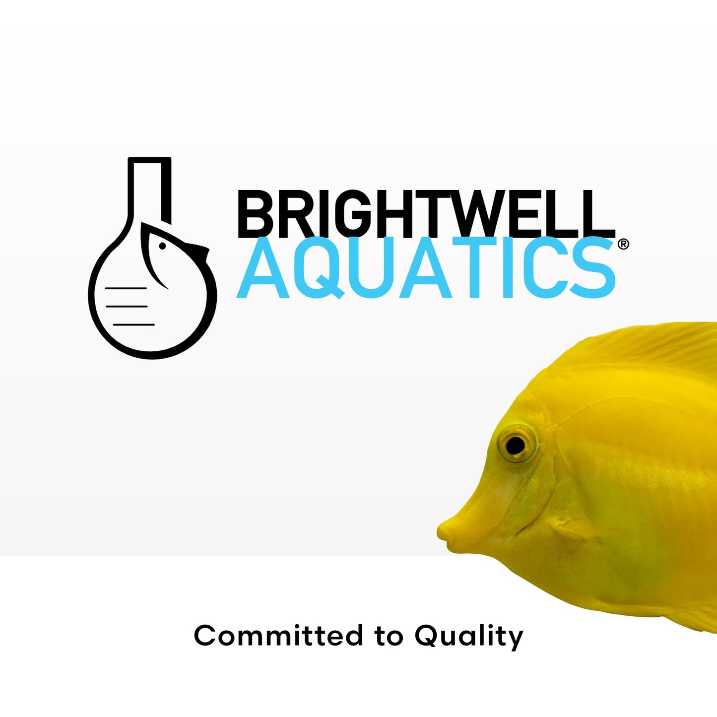 Brightwell Aquatics CoralAmino - Complex of Amino Acids for Corals - Coral food for Aquarium Coral Growth - Saltwater Aquarium Treatments, 1.01 fl oz