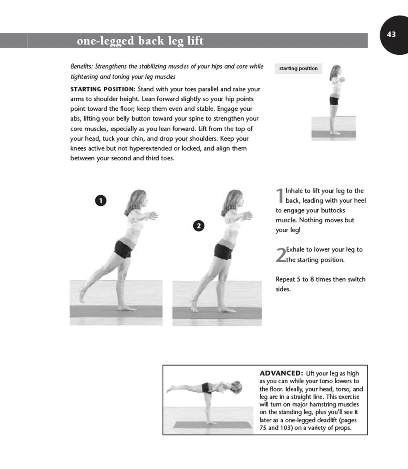 Balance Training: Stability Workouts for Core Strength and a Sculpted Body