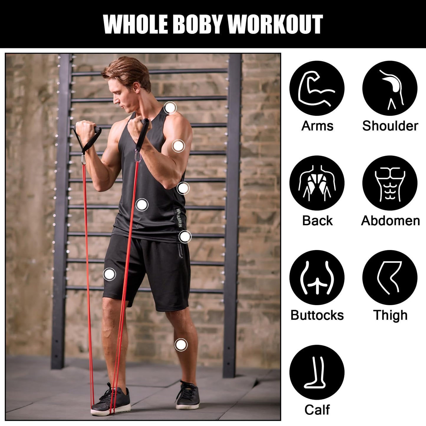 Odoland 5 Packs Pull Up Assist Bands, Pull Up Straps, Resistance Bands with Door Anchor and Handles, Stretch Mobility, Powerlifting and Extra Durable Exercise Bands with eGuide