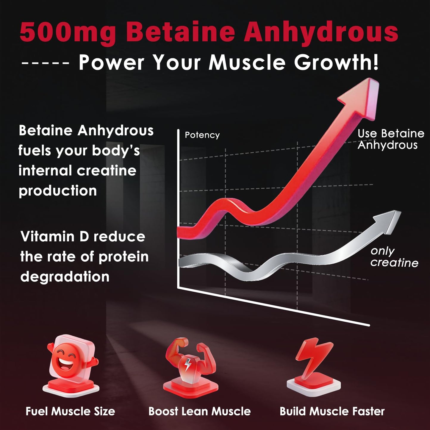 ZEBORA Micronized Creatine Monohydrate Powder, Creatine Monohydrate for Women-Men, Helps Muscle Recovery, Enhances Muscle Size & Strength with 5G Creatine and 1G Taurine, 75 Servings