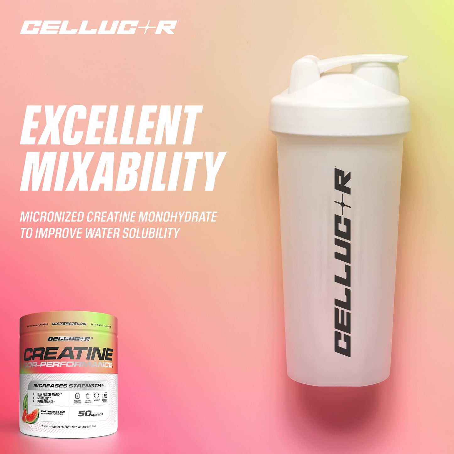 Cellucor Creatine Powder, Watermelon Flavor - Increases Strength, Lean Muscle Mass & Endurance, Micronized Creatine for Fast Absorption, 5g Creatine per Serving, 50 Servings