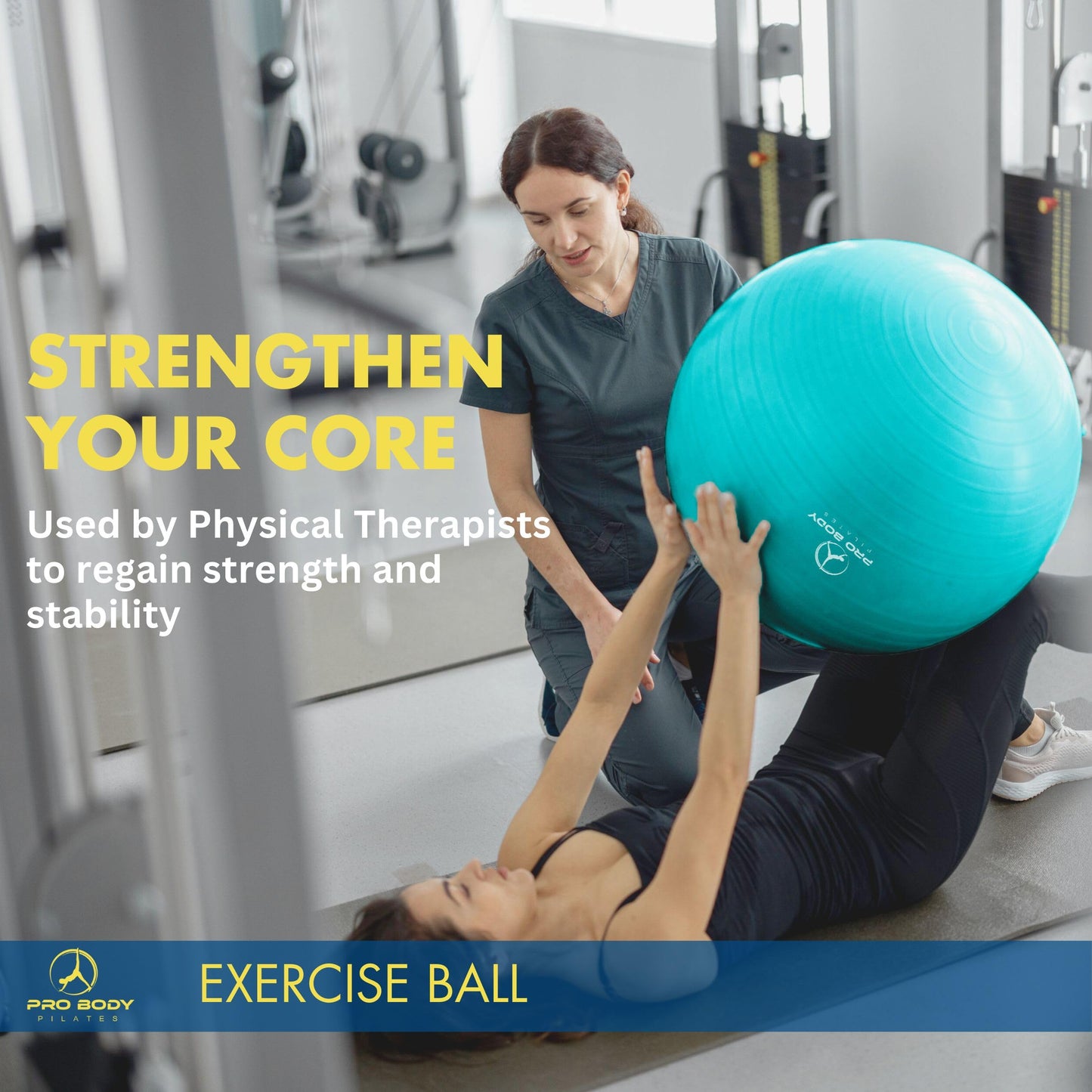 ProBody Pilates Exercise Ball - Multiple Sizes Gym Grade Balance Ball for Fitness, Workout, Pregnancy & Physical Therapy, Stability Yoga Ball Chair (Blue, 65cm)