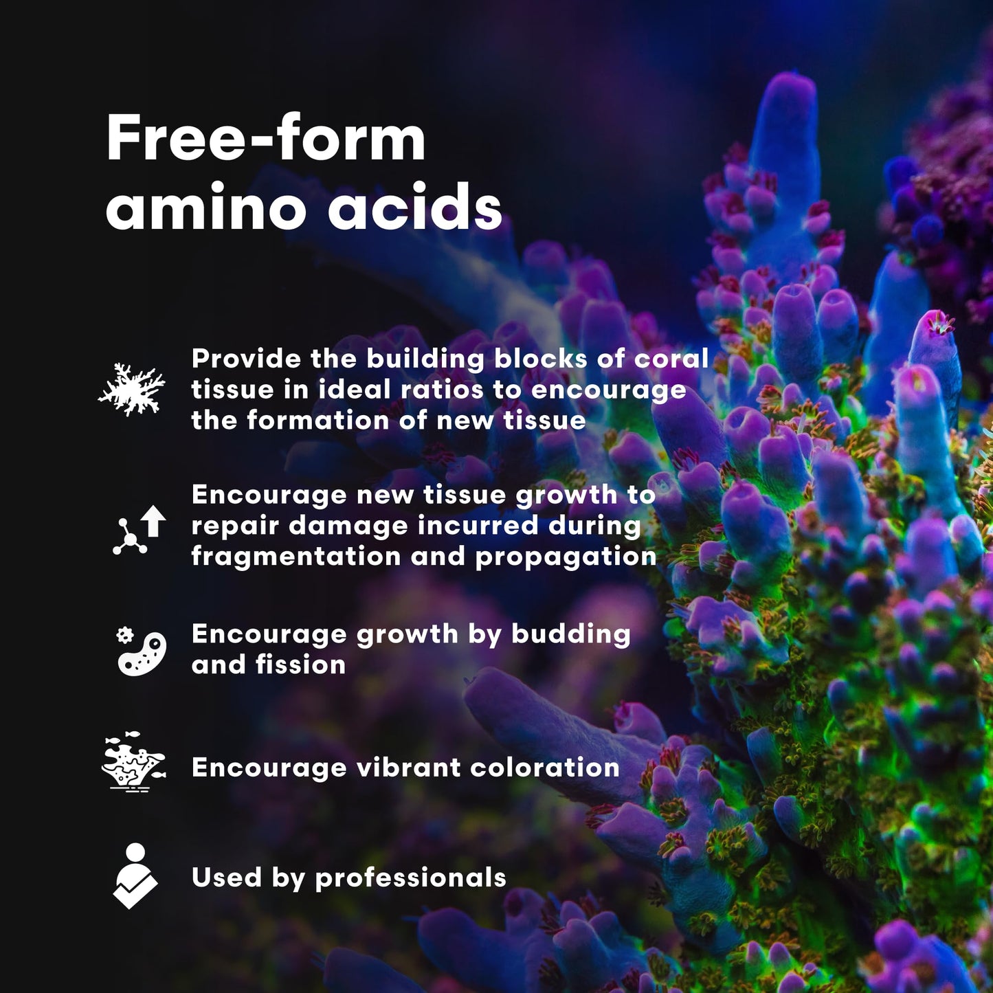 Brightwell Aquatics CoralAmino - Complex of Amino Acids for Corals - Coral food for Aquarium Coral Growth - Saltwater Aquarium Treatments, 1.01 fl oz