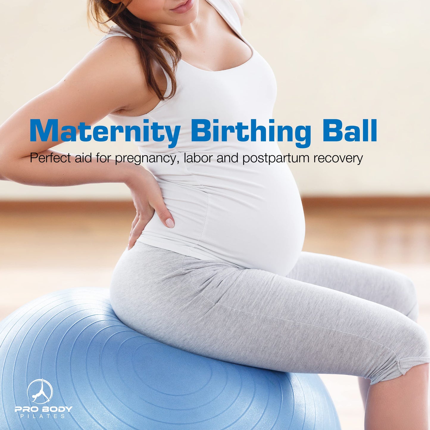 ProBody Pilates Exercise Ball - Multiple Sizes Gym Grade Balance Ball for Fitness, Workout, Pregnancy & Physical Therapy, Stability Yoga Ball Chair (Blue, 65cm)
