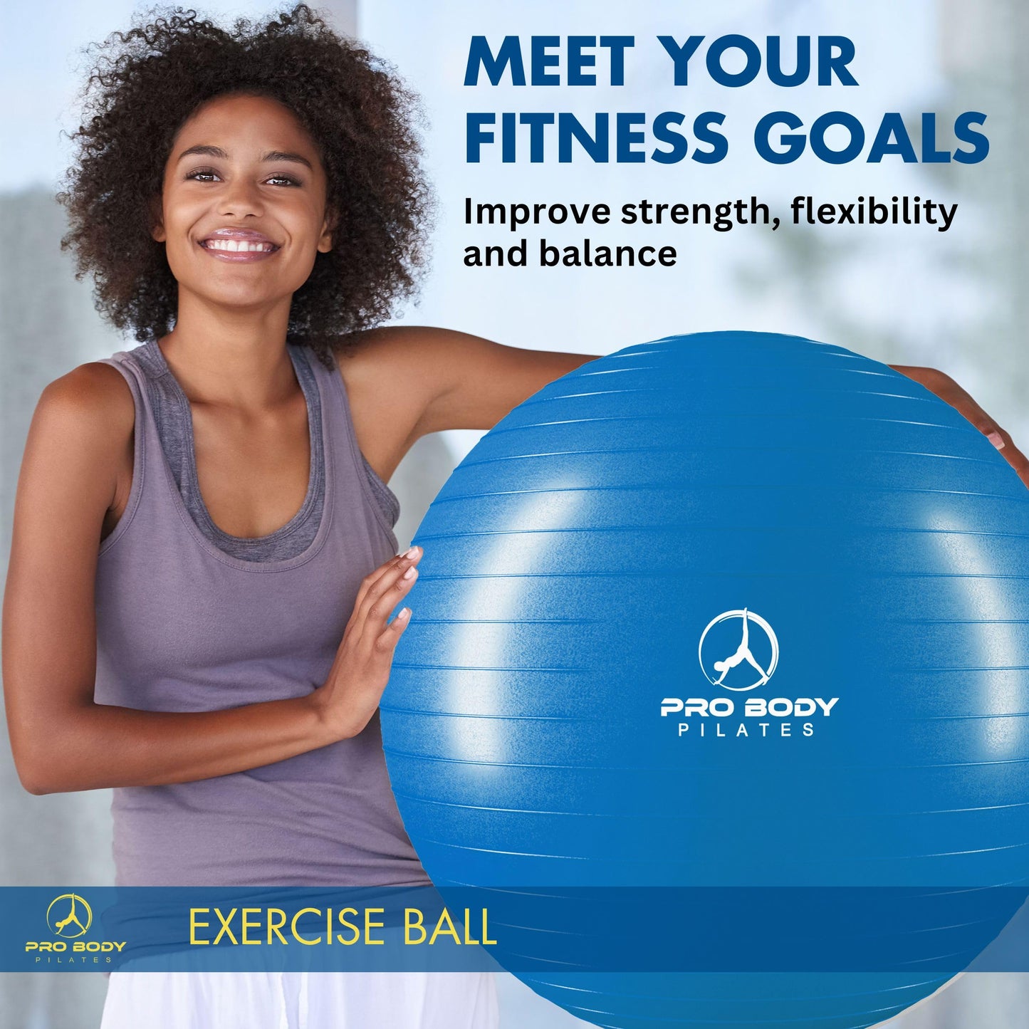 ProBody Pilates Exercise Ball - Multiple Sizes Gym Grade Balance Ball for Fitness, Workout, Pregnancy & Physical Therapy, Stability Yoga Ball Chair (Blue, 65cm)