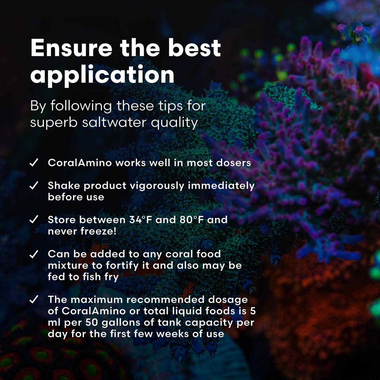Brightwell Aquatics CoralAmino - Complex of Amino Acids for Corals - Coral food for Aquarium Coral Growth - Saltwater Aquarium Treatments, 1.01 fl oz
