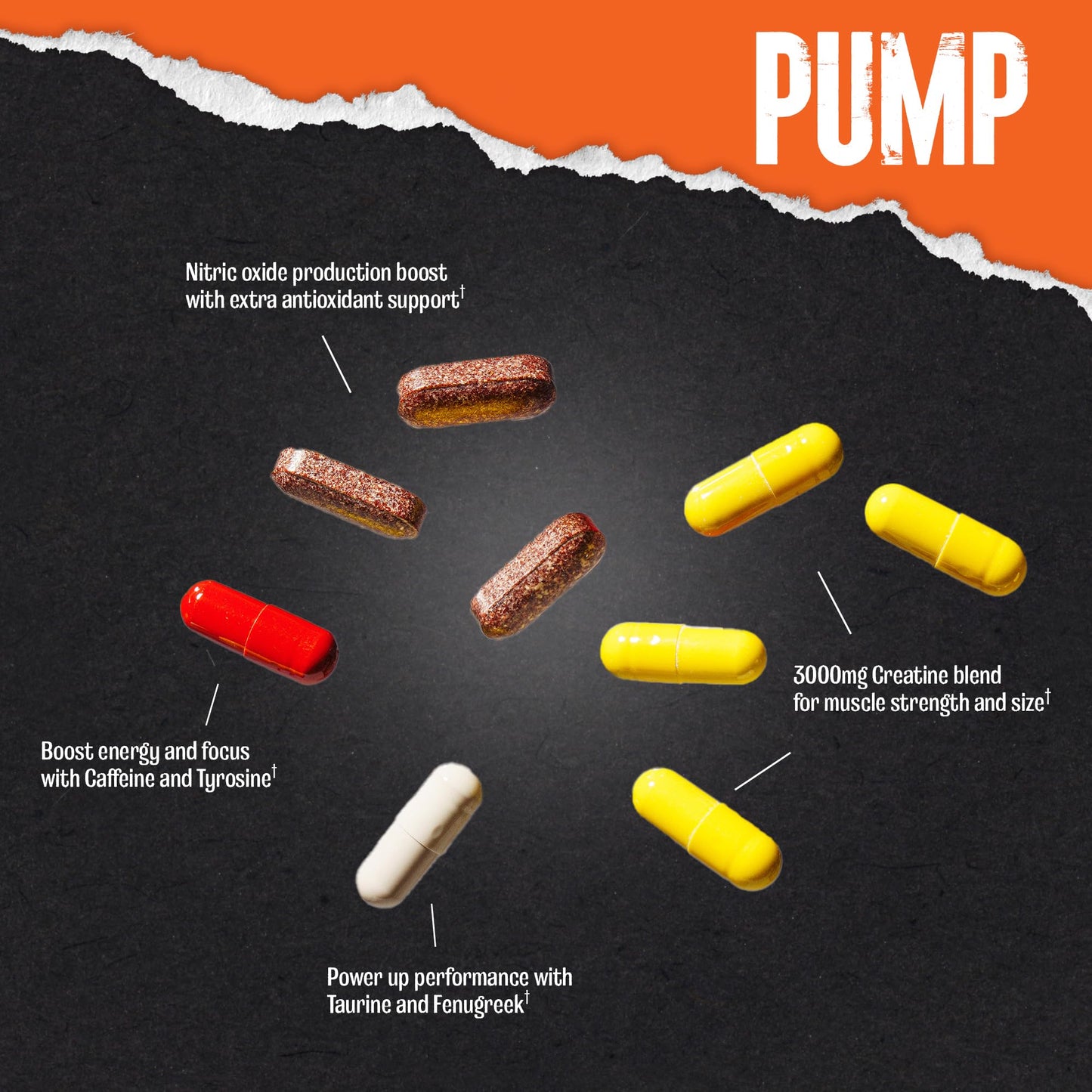 Animal Pump Pre-Workout Supplement – for Energy, Focus and Muscle Volumizing, with Nitric Oxide Boosters Including Stims and Nootropics, Creatine, and Ultimate Pump Enhancer, 30 Packs