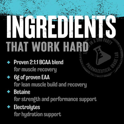 Animal Juiced Amino Acids - BCAA Powder EAA Matrix Plus Hydration with Electrolytes and Sea Salt Anytime Recovery and Improved Performance, Fruit Punch Flavor, 30 Servings