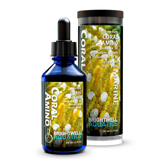 Brightwell Aquatics CoralAmino - Complex of Amino Acids for Corals - Coral food for Aquarium Coral Growth - Saltwater Aquarium Treatments, 1.01 fl oz
