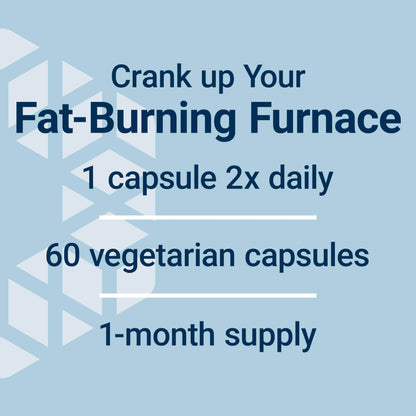 Life Extension 7-Keto DHEA Metabolite – Crank Up Your Fat-Burning Furnace – Non-GMO – Gluten-Free – 100 Mg – 60 Vegetarian Capsules