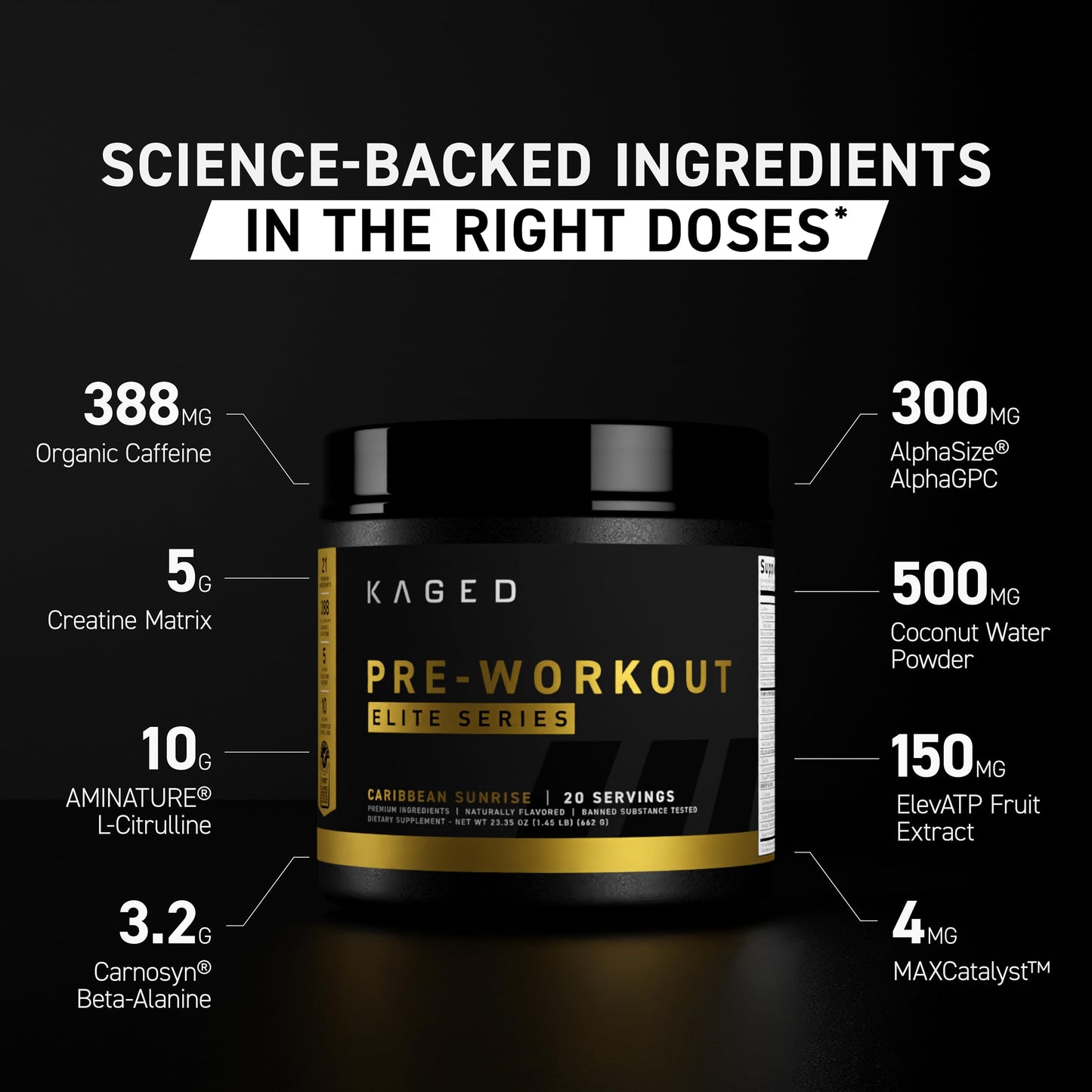 Kaged Pre Workout Powder Pre-Workout Elite for Men & Women, High Stimulant for Energy, Focus, Pumps, L-Citrulline, Beta Alanine, Creatine & 388mg of Organic Caffeine, Fruit Punch
