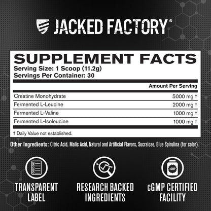 Jacked Factory Creatine + BCAAs - Creatine Monohydrate + BCAA Powder for Increased Post-Workout Recovery, Performance, Lean Muscle Growth, & Reduced Fatigue - 30 Servings, Blue Raspberry