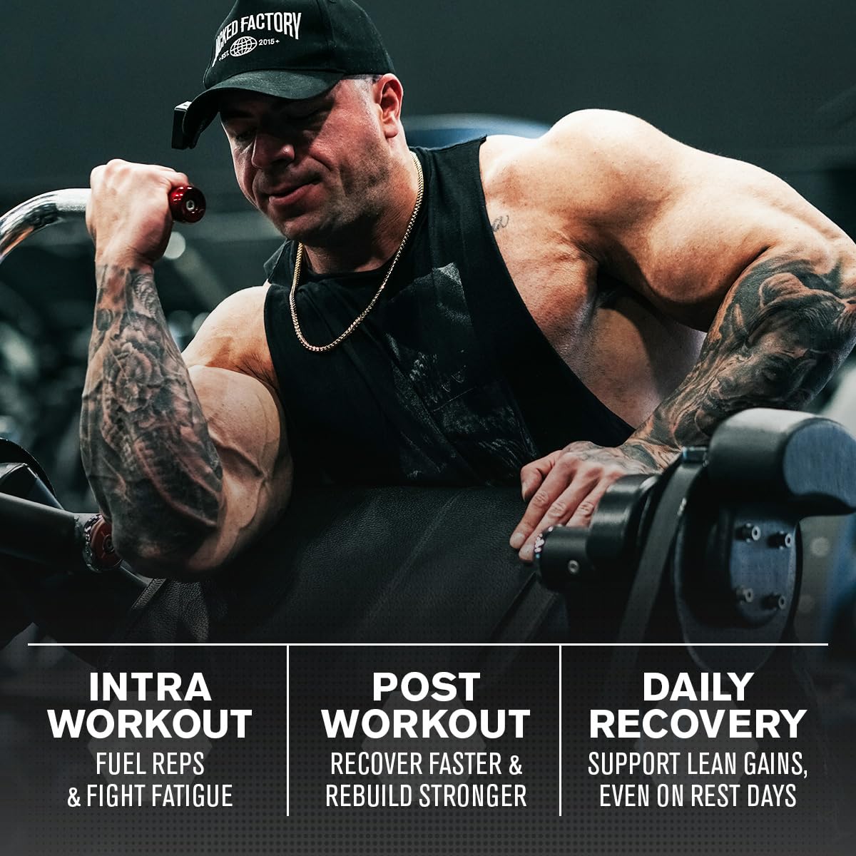 Jacked Factory Creatine + BCAAs - Creatine Monohydrate + BCAA Powder for Increased Post-Workout Recovery, Performance, Lean Muscle Growth, & Reduced Fatigue - 30 Servings, Blue Raspberry
