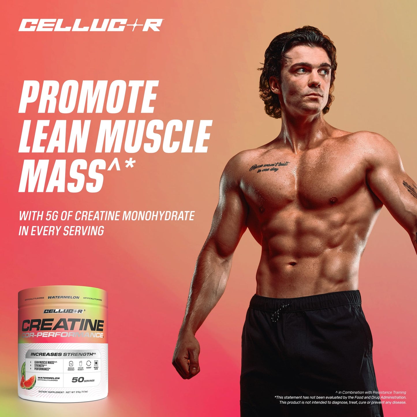 Cellucor Creatine Powder, Watermelon Flavor - Increases Strength, Lean Muscle Mass & Endurance, Micronized Creatine for Fast Absorption, 5g Creatine per Serving, 50 Servings