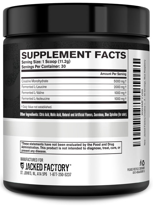 Jacked Factory Creatine + BCAAs - Creatine Monohydrate + BCAA Powder for Increased Post-Workout Recovery, Performance, Lean Muscle Growth, & Reduced Fatigue - 30 Servings, Blue Raspberry