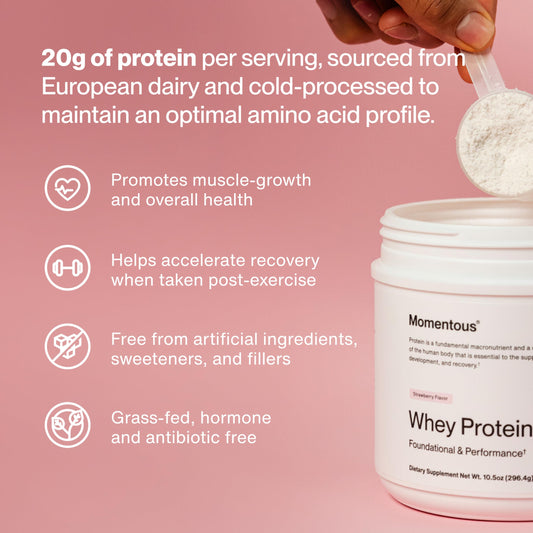 Momentous Essential Grass-Fed Whey Protein Powder - 20g Whey Isolate Protein - NSF Certified for Sport - Gluten-Free - 12 Servings for Essential Everyday Use, Strawberry (Package May Vary)
