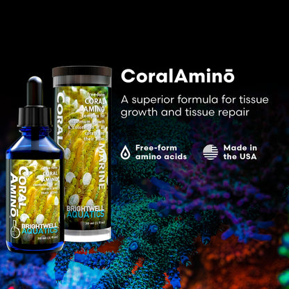 Brightwell Aquatics CoralAmino - Complex of Amino Acids for Corals - Coral food for Aquarium Coral Growth - Saltwater Aquarium Treatments, 1.01 fl oz