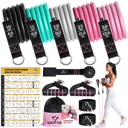 Resistance Bands with Handles for Women, 5 Level Exercise Bands Workout Bands for Physical Therapy, Yoga, Pilates, Door Anchor, Storage Pouch(Colour)