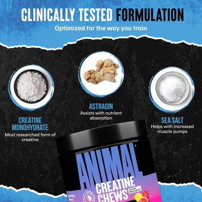 Animal Creatine Chews Tablets - Enhanced Creatine Monohydrate with AstraGin to Improve Absorption, Sea Salt for Added Pumps, Delicious and Convenient Chewable Tablets - Fruit Punch